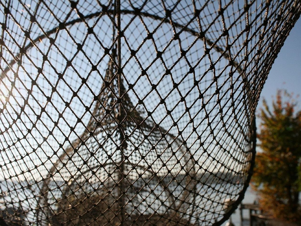 Boia de cortiça vermelha flutuando perto de árvores da costa